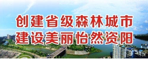 亚洲骚屄创建省级森林城市 建设美丽怡然资阳