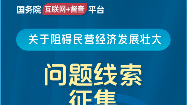 一吊操三逼视大全国务院“互联网+督查”平台公开征集阻碍民营经济发展壮大问题线索